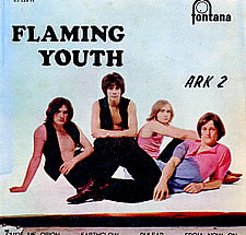 Flaming Youth > Ark 2 EP
